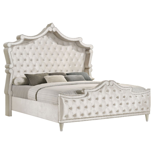 Seraphina Upholstered Queen Panel Bed Ivory and Camel