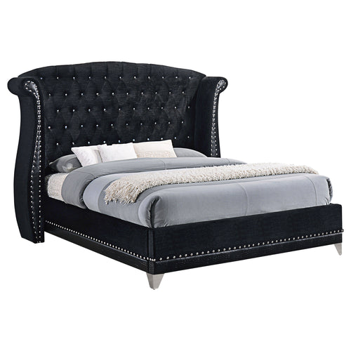 Lysandra Upholstered Queen Wingback Bed Black