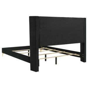 Everly Upholstered Queen Panel Bed Black