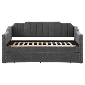 Mason Upholstered Twin Daybed with Trundle Charcoal